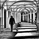 Streets of Sarzana