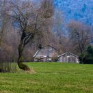 Spring Barn