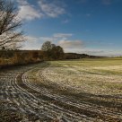 Field