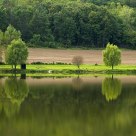 Lakeside