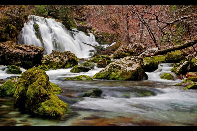 Spring Bistrica