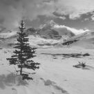 Columbia Icefield