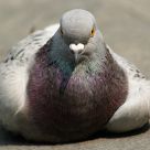 Looking at Me?