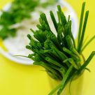 Fresh green