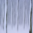 Not a Painting