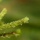 Freshness touch