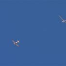Glide in the sky