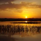 Lake at sunset