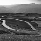 Farmland