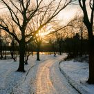 Central Park Sunset