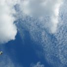 Reach for the sky!