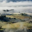 Winter Morning