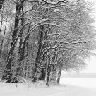 Winterday