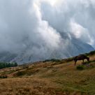 Storm