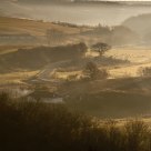 At dawn in the valley