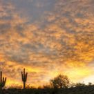 March Sunrise