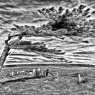 Leaning Tree