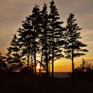 Evening Sky