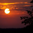 The thirst for the sun