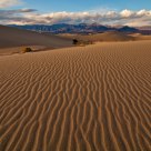Golden Dunes