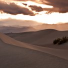 Golden Dusk