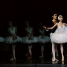 ballet <Swan Lake>