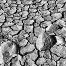 Cracked Earth