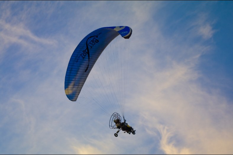 blue glider