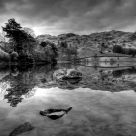 Grass mere