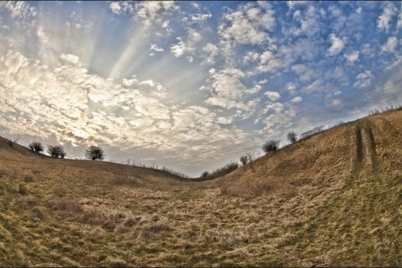 Down in the Valley