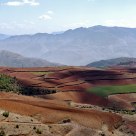 The Red Land
