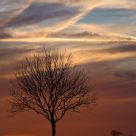 Golf course sunset