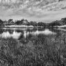 Les marais de Mousterlin - The marshes of Mousterlin