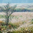Reed Marsh in Autumn
