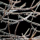 Wrapped in Winter