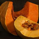 Pumpkiins