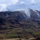 Mountain and Fields