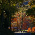 Country Road