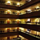 Multiplicity