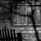 Shadows