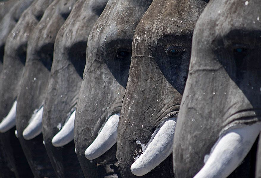 Tuskers