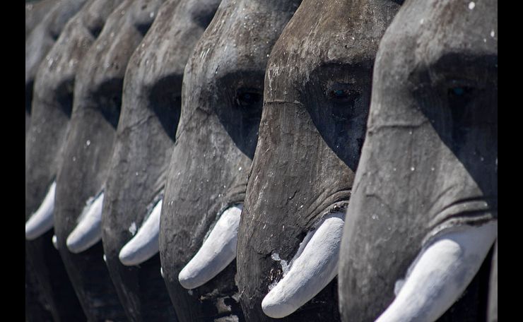 Tuskers