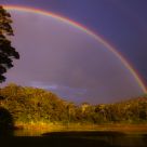 Rainbow connection