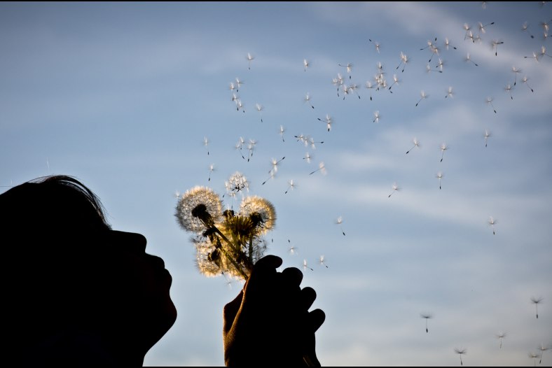 Parachutes