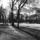 Life in Uppsala: Park
