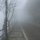 Street