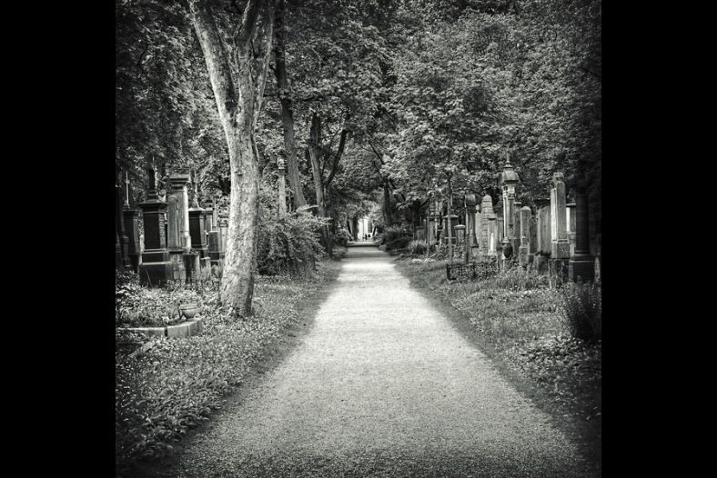 Alter SÃ¼dfriedhof II