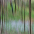 Impressions Of Spring