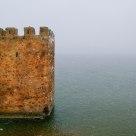 The Tower