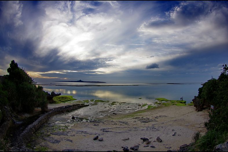 The bay